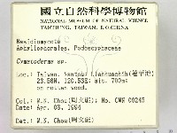 波邊革菌屬藏品圖，第2張