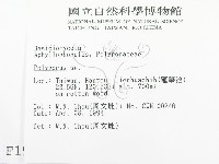 多孔菌屬藏品圖，第2張