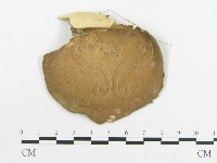 多孔菌屬藏品圖，第3張