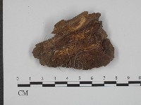 登錄號:F0001986藏品圖，第3張