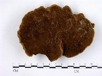 登錄號:F0001987藏品圖，第1張