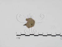 登錄號:F0001990藏品圖，第1張