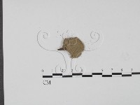 登錄號:F0001990藏品圖，第3張