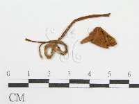 登錄號:F0001992藏品圖，第1張