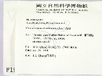 登錄號:F0001995藏品圖，第2張