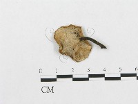 登錄號:F0001996藏品圖，第4張