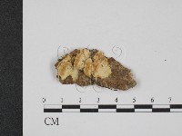 登錄號:F0001997藏品圖，第1張