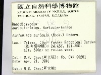 登錄號:F0001998藏品圖，第2張