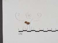 登錄號:F0002000藏品圖，第1張