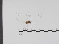 登錄號:F0002000藏品圖，第3張