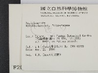 登錄號:F0002002藏品圖，第2張