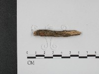 登錄號:F0002002藏品圖，第3張