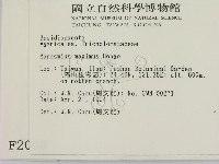 登錄號:F0002008藏品圖，第2張