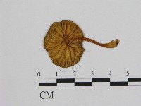 登錄號:F0002008藏品圖，第3張