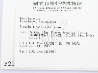登錄號:F0002009藏品圖，第2張