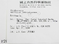 粉褶菌屬藏品圖，第2張