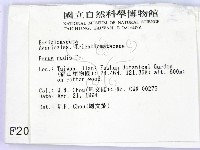 登錄號:F0002013藏品圖，第2張