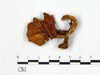 登錄號:F0002013藏品圖，第1張