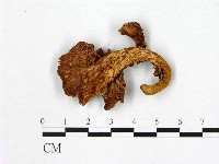 登錄號:F0002013藏品圖，第3張