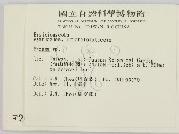 小菇屬藏品圖，第2張