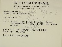 Accession Number:F0002019 Collection Image, Figure 2, Total 3 Figures