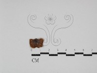 Accession Number:F0002019 Collection Image, Figure 1, Total 3 Figures
