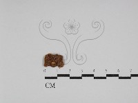 Accession Number:F0002019 Collection Image, Figure 3, Total 3 Figures