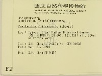 登錄號:F0002020藏品圖，第2張