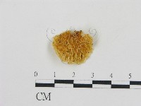 登錄號:F0002020藏品圖，第3張