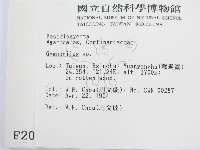 登錄號:F0002024藏品圖，第2張