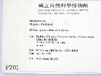 登錄號:F0002028藏品圖，第2張