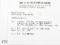 登錄號:F0002029藏品圖，第2張