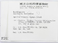 登錄號:F0002030藏品圖，第2張