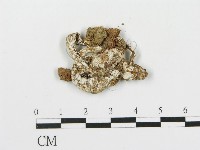 登錄號:F0002030藏品圖，第1張
