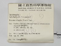 東方栓菌藏品圖，第2張
