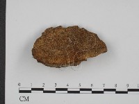 登錄號:F0002033藏品圖，第1張