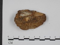 登錄號:F0002033藏品圖，第3張