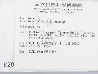 多孔菌屬藏品圖，第2張