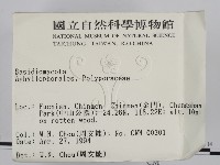 登錄號:F0002037藏品圖，第2張