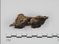 登錄號:F0002037藏品圖，第3張