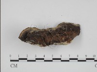 登錄號:F0002037藏品圖，第4張