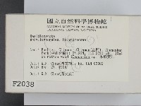 登錄號:F0002038藏品圖，第2張