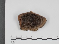 登錄號:F0002038藏品圖，第1張