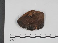 登錄號:F0002038藏品圖，第3張