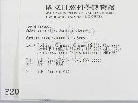 登錄號:F0002039藏品圖，第2張
