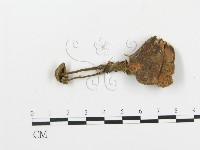 登錄號:F0002039藏品圖，第1張