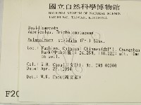 登錄號:F0002042藏品圖，第2張
