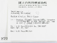登錄號:F0002043藏品圖，第2張