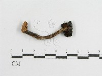 登錄號:F0002043藏品圖，第3張
