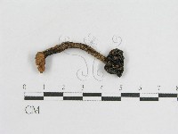 登錄號:F0002043藏品圖，第4張